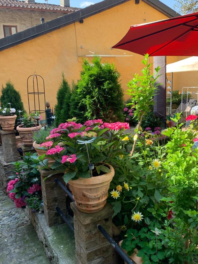 Ferienhaus, Rustico Auf Burg Locarno Exterior foto